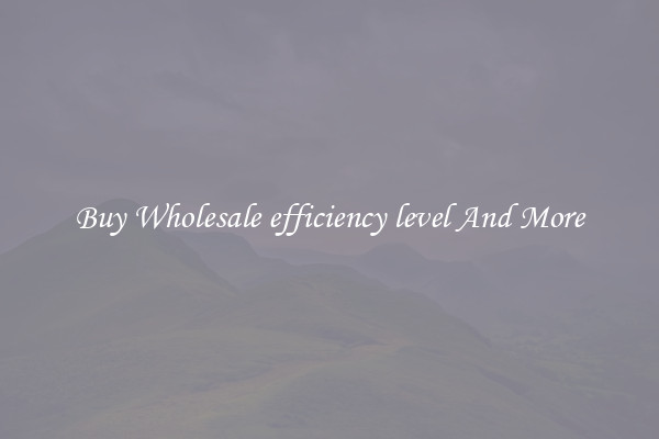 Buy Wholesale efficiency level And More