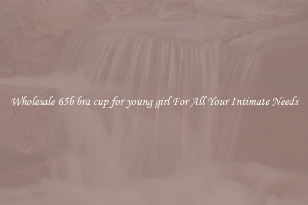 Wholesale 65b bra cup for young girl For All Your Intimate Needs