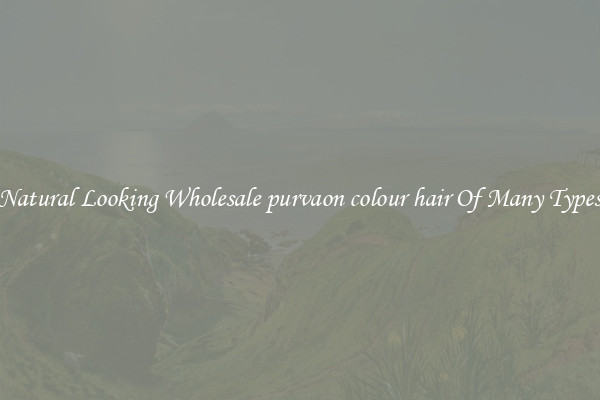 Natural Looking Wholesale purvaon colour hair Of Many Types