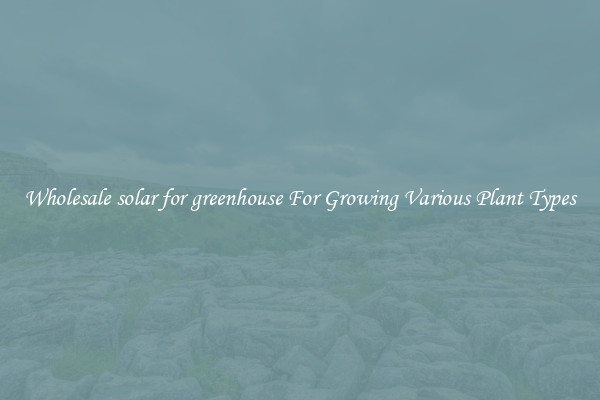 Wholesale solar for greenhouse For Growing Various Plant Types