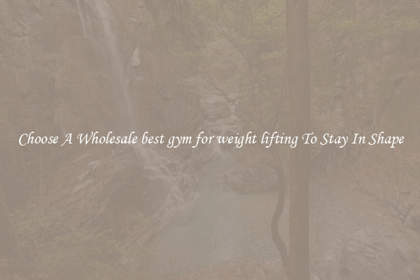 Choose A Wholesale best gym for weight lifting To Stay In Shape