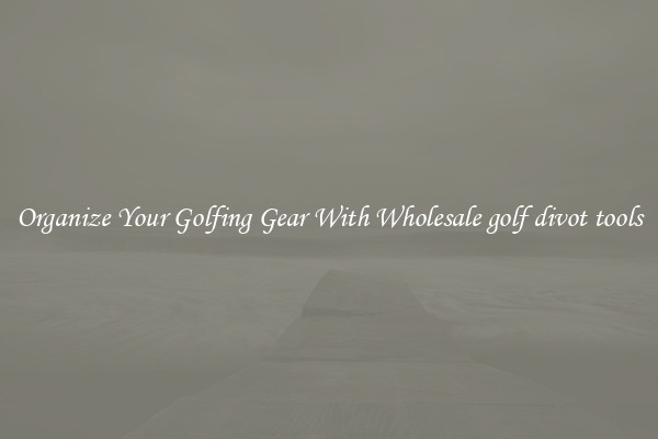 Organize Your Golfing Gear With Wholesale golf divot tools