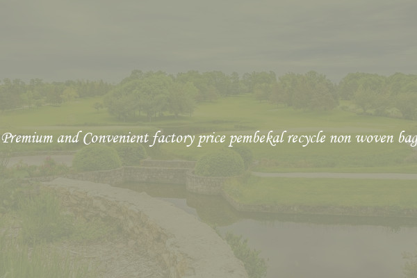 Premium and Convenient factory price pembekal recycle non woven bag