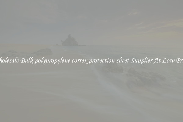 Wholesale Bulk polypropylene correx protection sheet Supplier At Low Prices