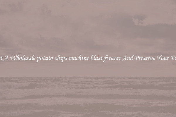 Get A Wholesale potato chips machine blast freezer And Preserve Your Food
