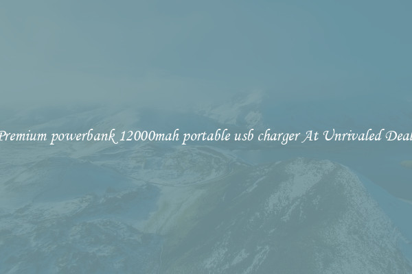 Premium powerbank 12000mah portable usb charger At Unrivaled Deals